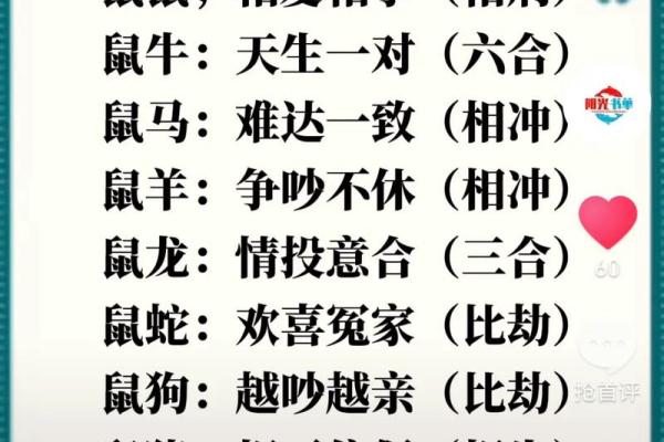 猪兔搭配的和谐关系与生肖匹配的深层意义