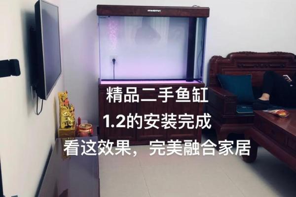 打造完美家居风水的定做鱼缸选购指南