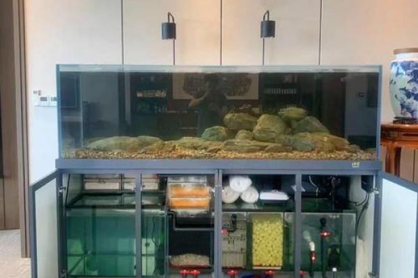 打造完美家居风水的定做鱼缸选购指南
