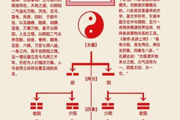 八卦命的基础知识与应用实例
