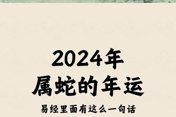 本命年蛇男如何规划未来的职业生涯