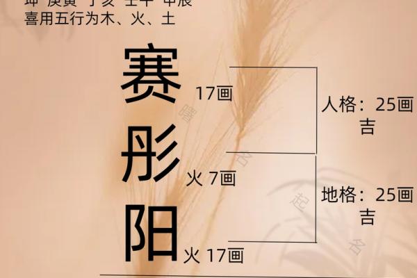 侧名字背后的独特含义与文化