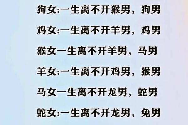 探讨猴龙配对的性格契合度