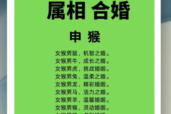 探讨猴龙配对的性格契合度
