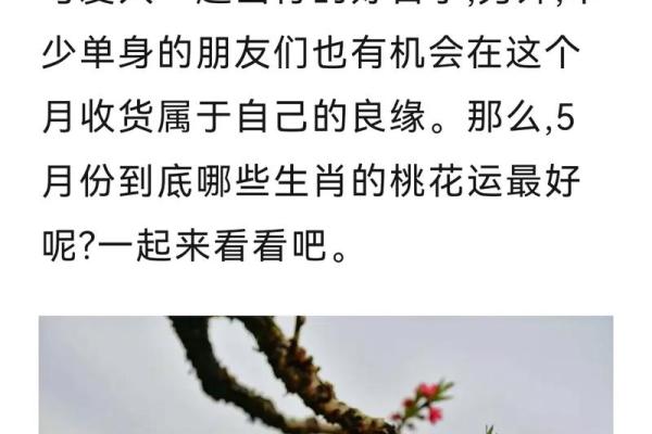 女命桃花运好，如何有效提升个人魅力