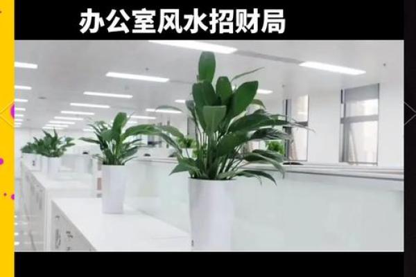 办公室搬迁风水小窍门让你事业更顺利