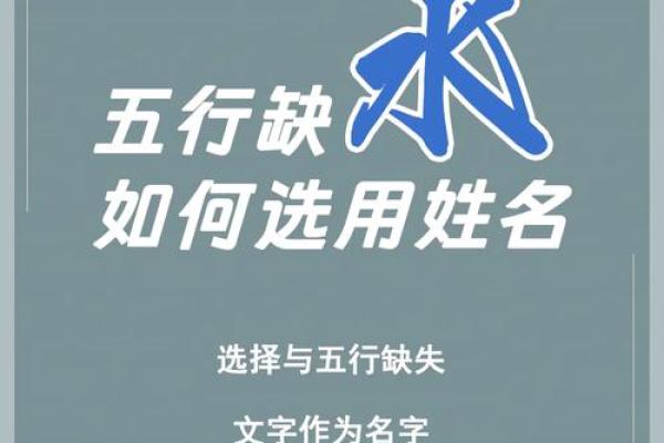从五行角度看咖喱：一碗饭里的中医智慧