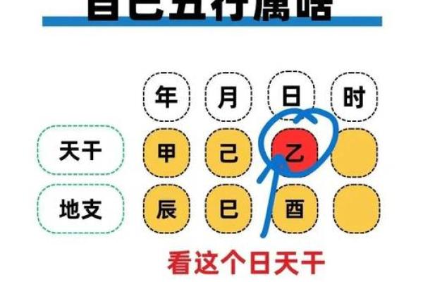 出生的人属什么生肖与五行解析，了解你的命运密码