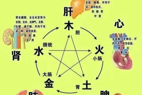 八字五行图：解密命运的关键因素，帮你轻松理解五行运势