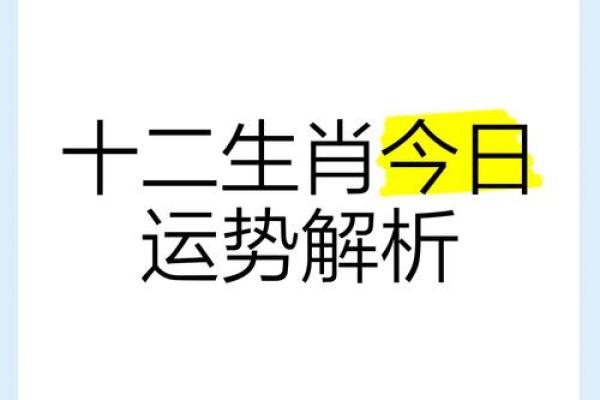 生肖运势解析，幸运与挑战并存