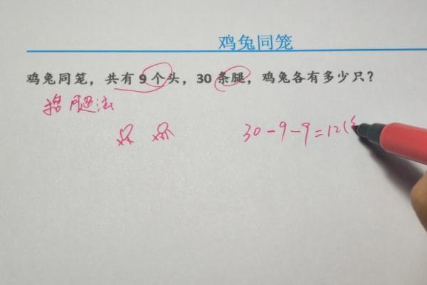 鸡和兔能否和谐搭配的秘密解析