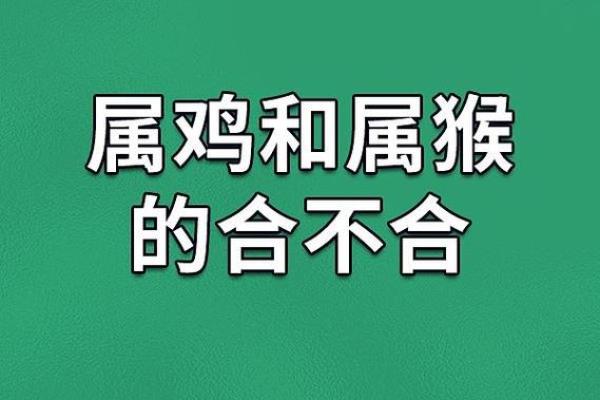 属猴人本命年如何提升家庭和事业的和谐