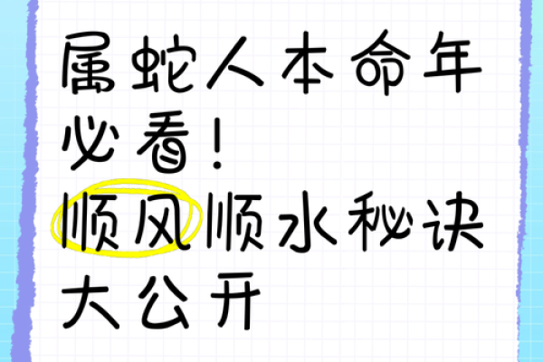 本命年蛇男的财运调整与收入增加策略