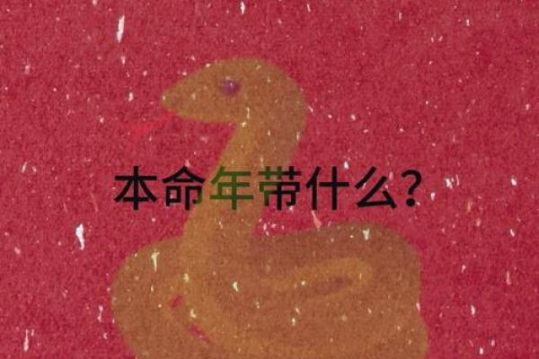 本命年蛇男的财运调整与收入增加策略