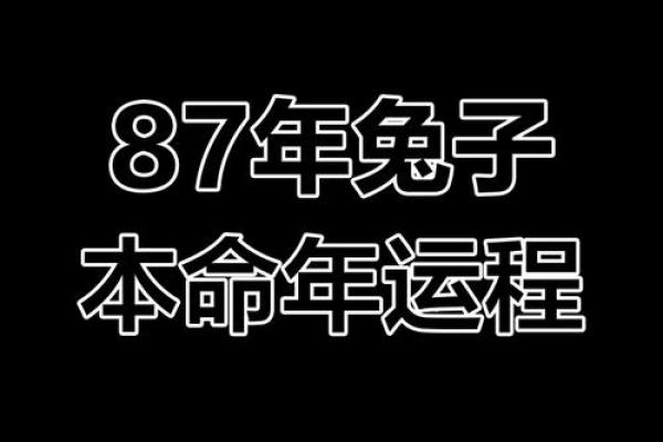 本命年兔男如何利用星座优势