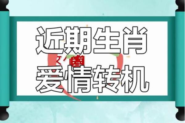 生肖运势运程大解析，财富与爱情双丰收
