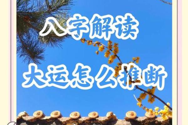 从生辰八字全透视人生轨迹，看看你的未来如何