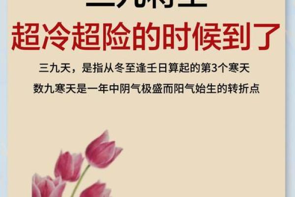 三九养生必看万年历教你如何度过最寒冷的39天