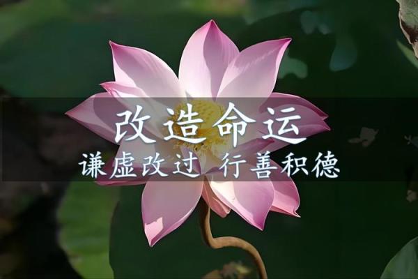 玳五行属性揭秘：了解它如何影响你的命运