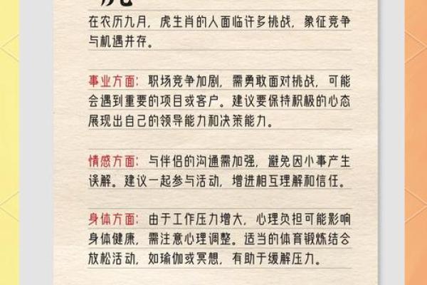 属相运势大全：如何把握今年的好运气