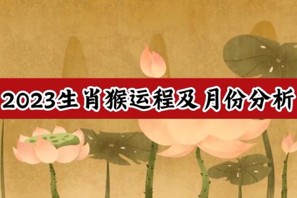 猴年运程：如何把握今年的关键时刻