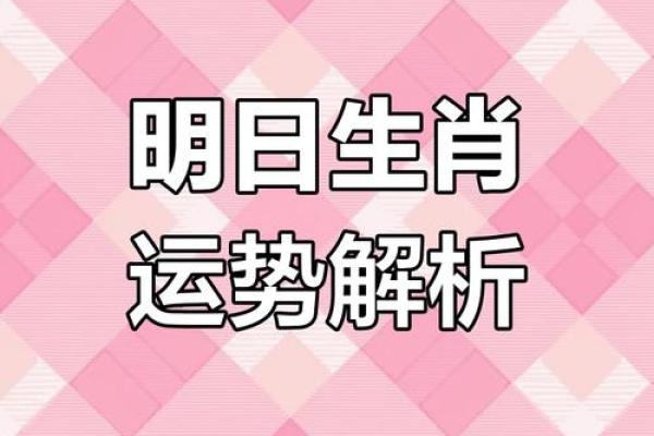 生肖与今日运程：如何根据运势作出明智决策