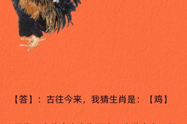 鸡年男宝宝起名推荐:寓意吉祥的精选名字大全 鸡年男宝宝起名推荐:寓意吉祥的精选名字大全