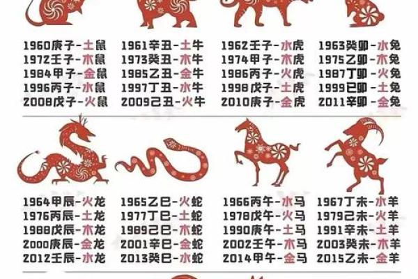 出生的狗五行命运分析，看看你的五行缺什么！