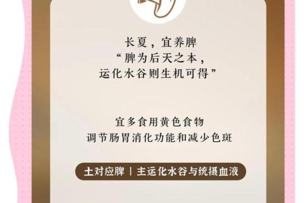 便民吧：五行生活小妙招，轻松提升生活质量