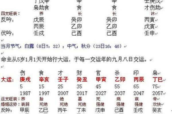 查生辰八字缺什么，揭开命运的玄机