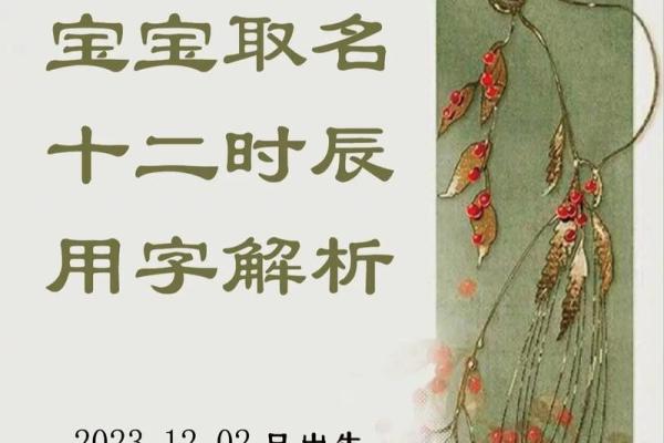 精准起名助力宝宝成长,免费的起名字平台助你一臂之力 精准起名助力宝宝成长,免费的起名字平台助你一臂之力