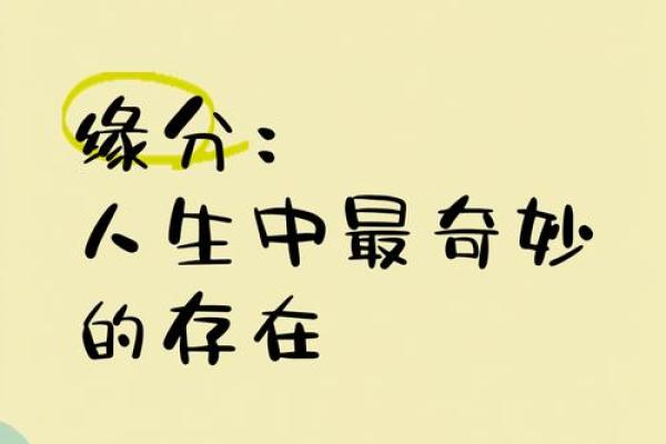 甲子姻缘与人生道路的奇妙关联