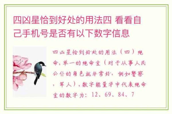 车牌数字风水吉凶测算指南