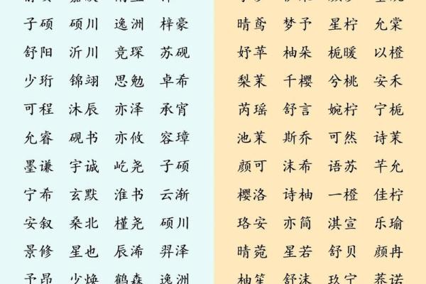 宝宝起名大全:如何选择一个既有寓意又独特的名字 宝宝起名大全:如何选择一个既有寓意又独特的名字