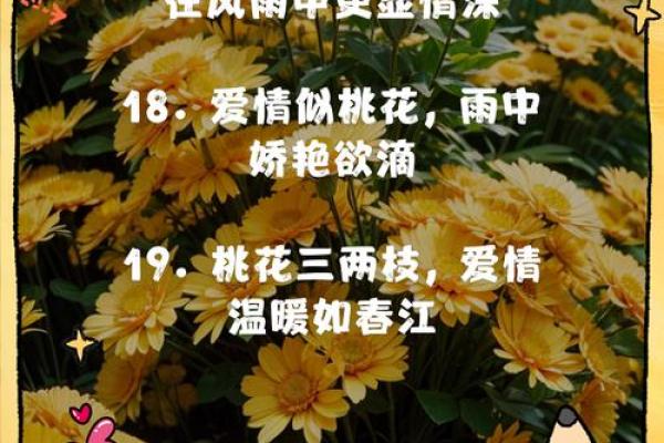 男命双桃花的命运，爱情生活如何发展