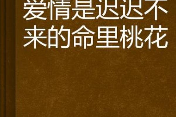 男命双桃花的命运，爱情生活如何发展