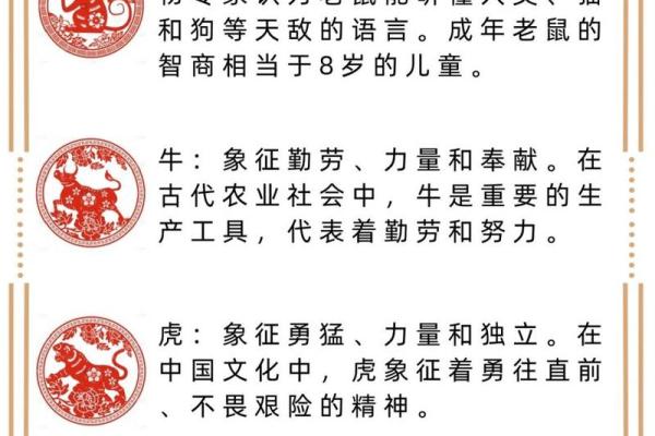 龙行虎步代表的生肖特点与象征解析