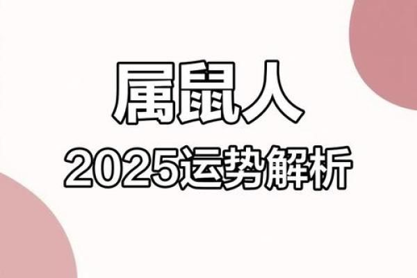 属鼠本命年爱情运势如何