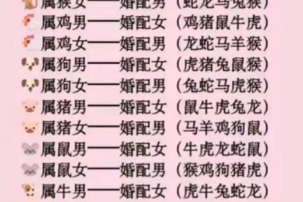 属兔男与属鼠女的爱情契合度分析