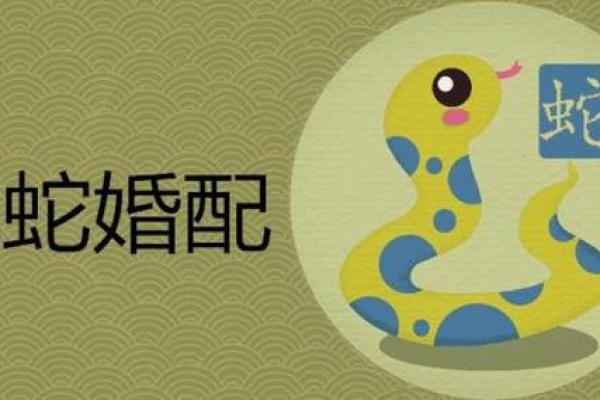 属虎和属蛇的配对优缺点分析