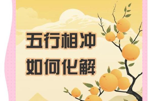 宠物店五行：如何通过五行理论打造更和谐的宠物环境
