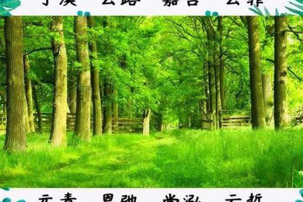 宝宝起名的文化与风水考量 宝宝起名的文化与风水考量