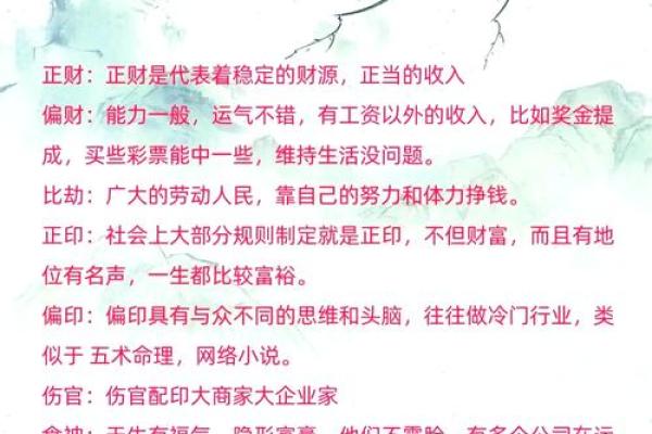 出生的命运解析与人生轨迹