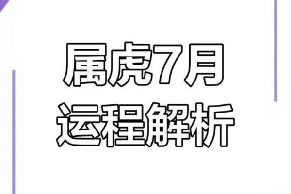 虎年运势预测：每月运程影响分析