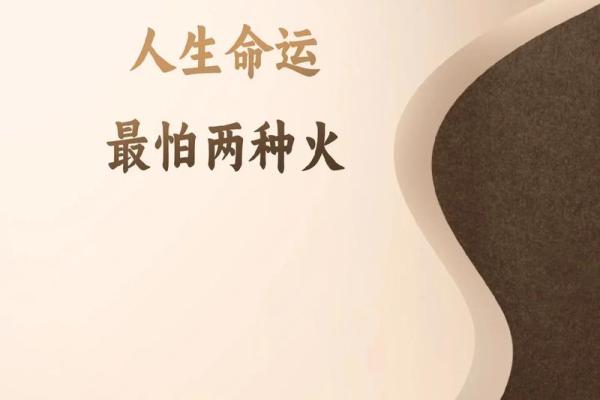 出生属什么命，命运如何影响人生