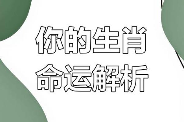 出生的人属什么命 解读命运与性格特征