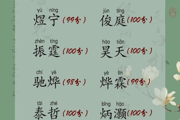 金字旁五行属火的字解析与应用技巧