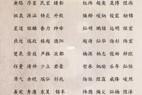 金字旁五行属火的字解析与应用技巧