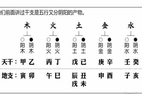 出生属土命的八字解析与运势走势