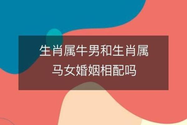 属马与属马合适结婚吗？解读两者关系中的优缺点